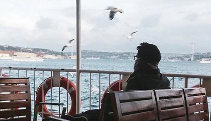 猪猪手机网：重新定义你的智能生活选择