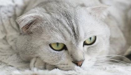 99精产国品一二三产区区：探寻中国制造的品质金字塔