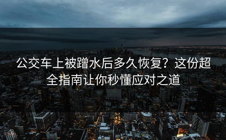 公交车上被蹭水后多久恢复？这份超全指南让你秒懂应对之道