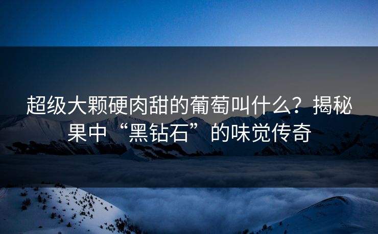 超级大颗硬肉甜的葡萄叫什么？揭秘果中“黑钻石”的味觉传奇