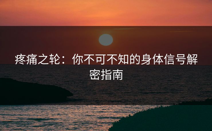 疼痛之轮:你不可不知的身体信号解密指南 疼痛之轮:你不可不知的身体信号解密指南
